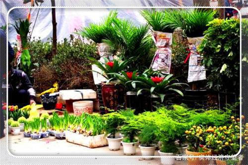 {娛樂城}(开个零食铺子大概投资多少钱)